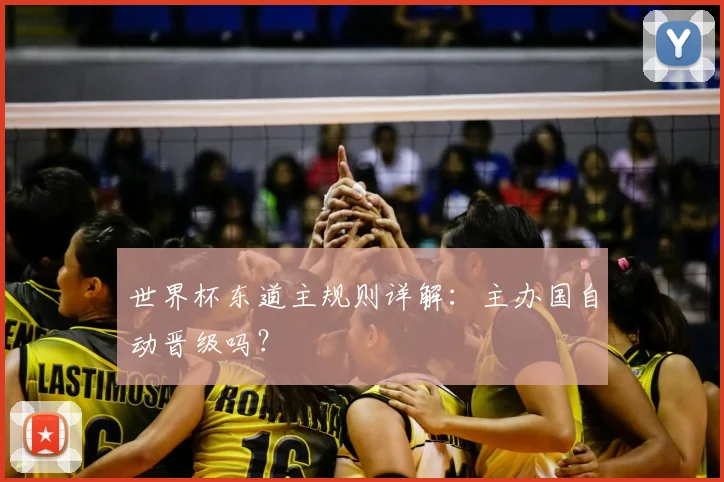 世界杯东道主规则详解:主办国自动晋级吗?