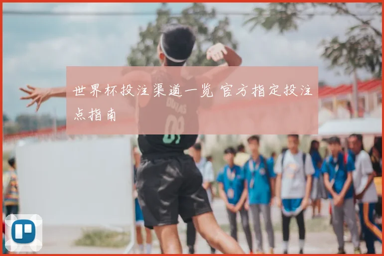 世界杯投注渠道一览 官方指定投注点指南