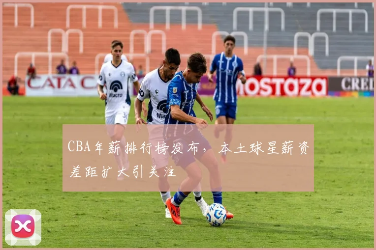 CBA年薪排行榜发布，本土球星薪资差距扩大引关注