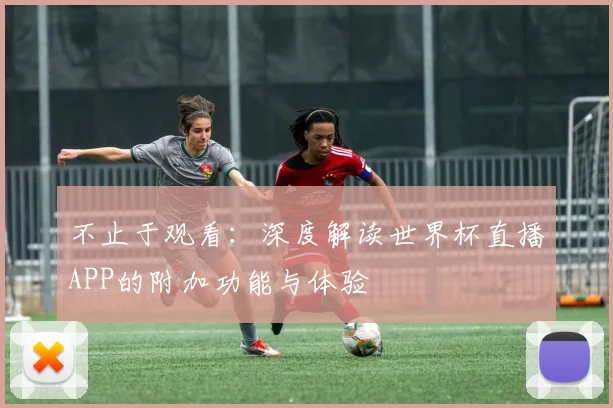 不止于观看：深度解读世界杯直播APP的附加功能与体验