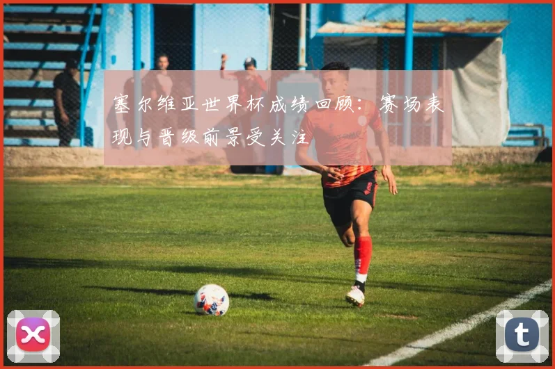 塞尔维亚世界杯成绩回顾：赛场表现与晋级前景受关注