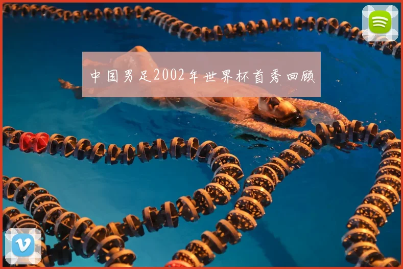 中国男足2002年世界杯首秀回顾