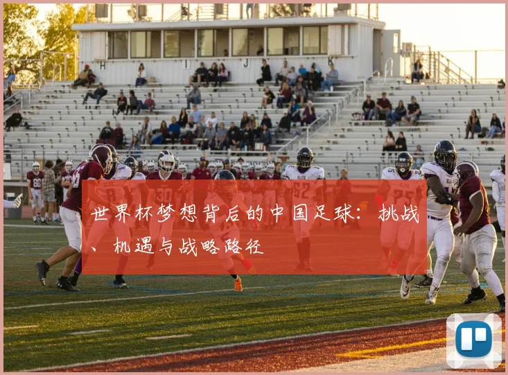 世界杯梦想背后的中国足球:挑战、机遇与战略路径