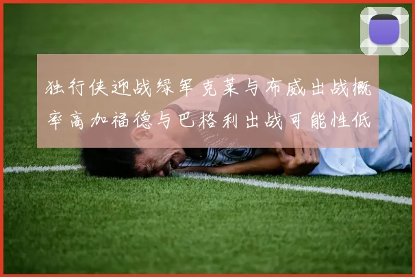 独行侠迎战绿军克莱与布威出战概率高加福德与巴格利出战可能性低