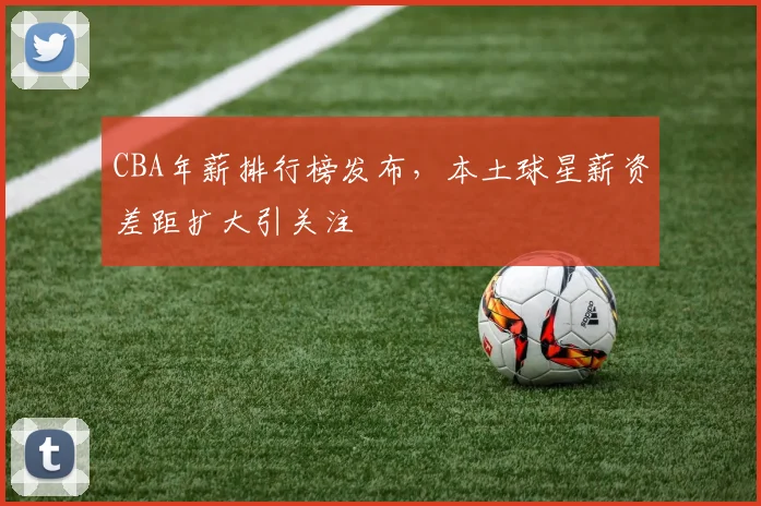 CBA年薪排行榜发布，本土球星薪资差距扩大引关注