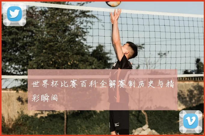 世界杯比赛百科全解赛制历史与精彩瞬间