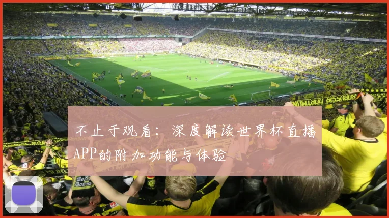 不止于观看：深度解读世界杯直播APP的附加功能与体验