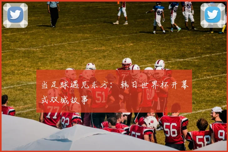 当足球遇见东方：韩日世界杯开幕式双城故事