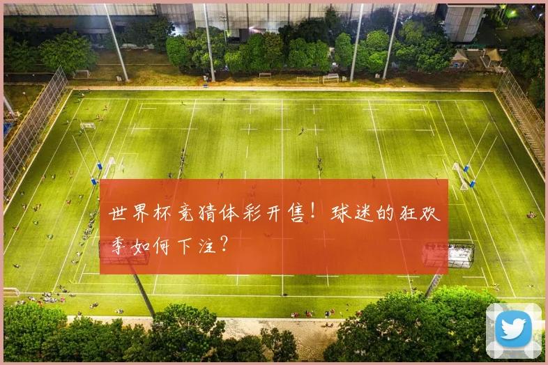 世界杯竞猜体彩开售！球迷的狂欢季如何下注？