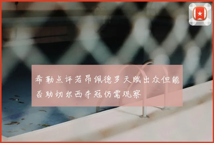 希勒点评若昂佩德罗天赋出众但能否助切尔西夺冠仍需观察