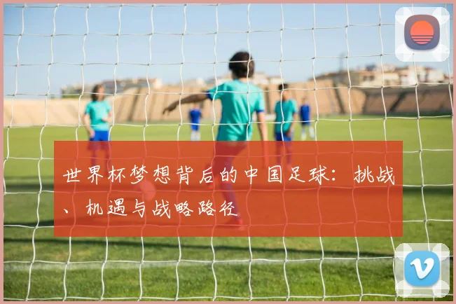 世界杯梦想背后的中国足球：挑战、机遇与战略路径