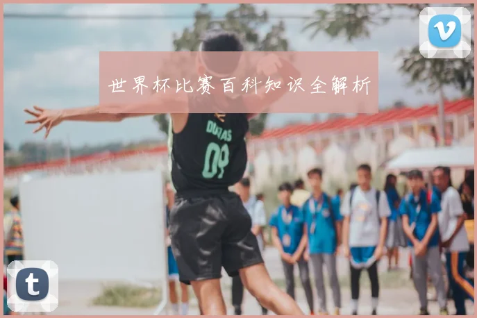 世界杯比赛百科知识全解析