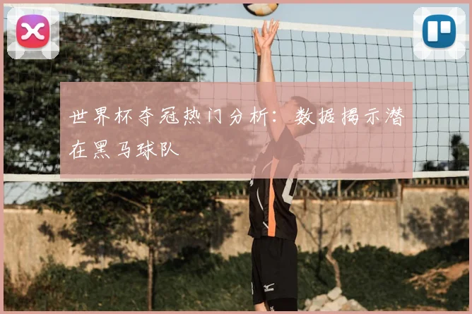 世界杯夺冠热门分析：数据揭示潜在黑马球队