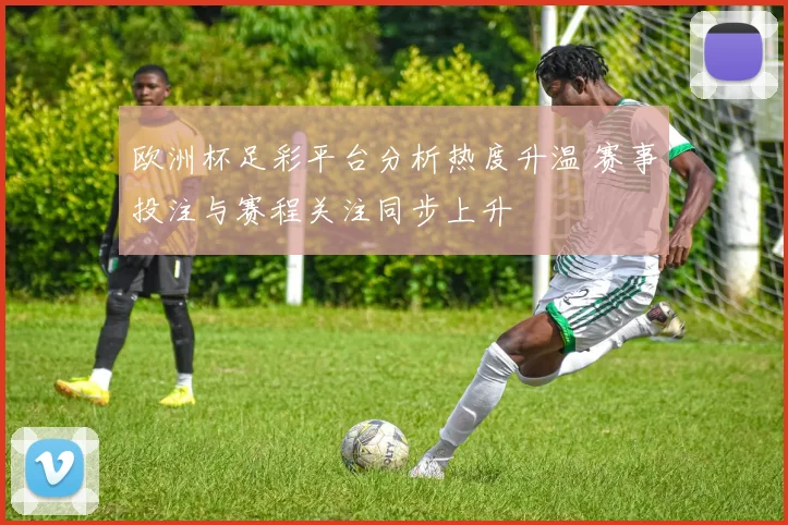 欧洲杯足彩平台分析热度升温 赛事投注与赛程关注同步上升