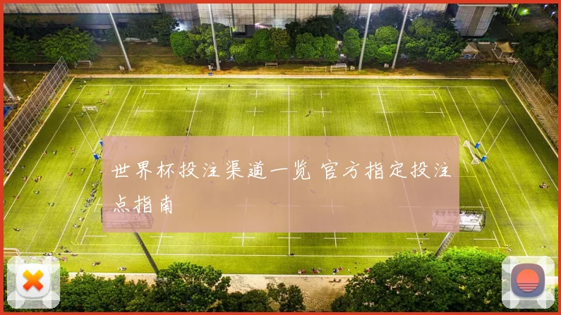 世界杯投注渠道一览 官方指定投注点指南