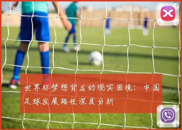 世界杯梦想背后的现实困境:中国足球发展路径深度分析