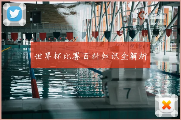 世界杯比赛百科知识全解析